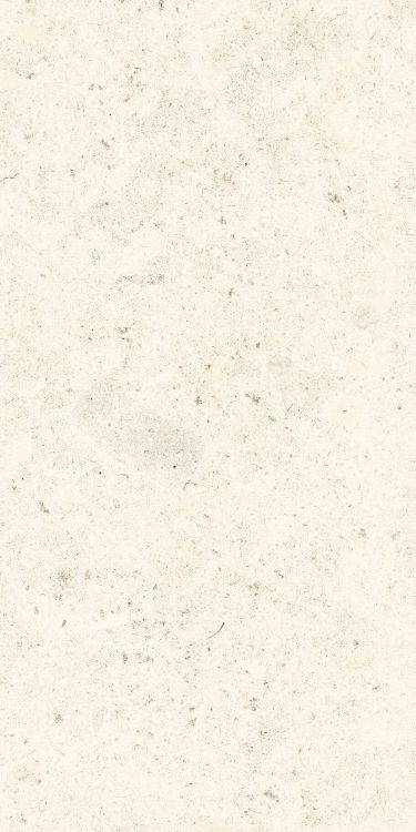Lightstones.03 Shell Soft Touch 24 x 48